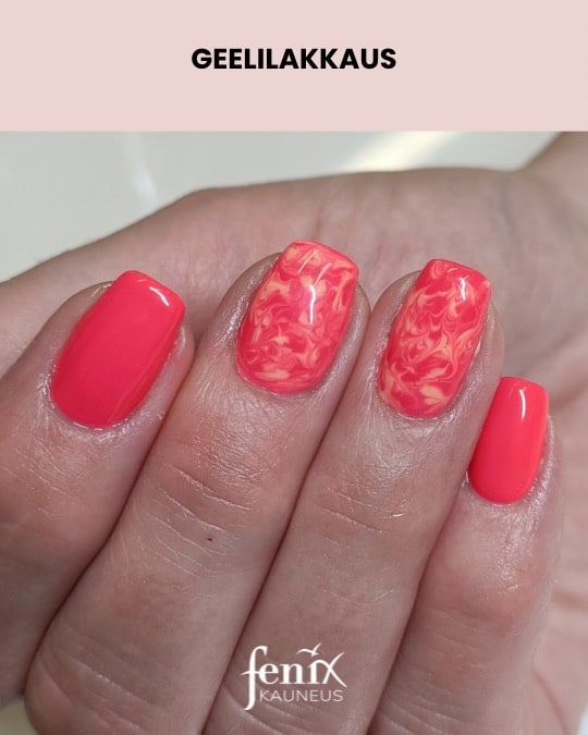 Marmori geelilakkaus kirkkaan pinkilla pohjalla.